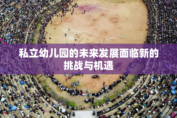 私立幼儿园的未来发展面临新的挑战与机遇