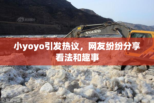 小yoyo引发热议，网友纷纷分享看法和趣事