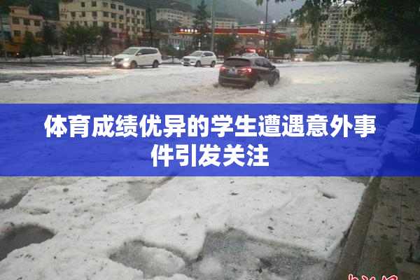 体育成绩优异的学生遭遇意外事件引发关注