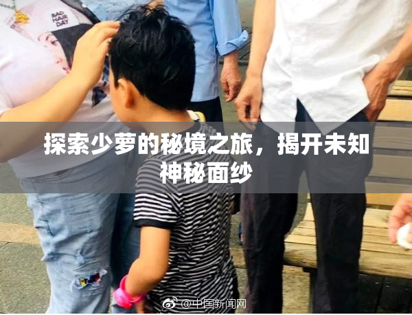 探索少萝的秘境之旅，揭开未知神秘面纱