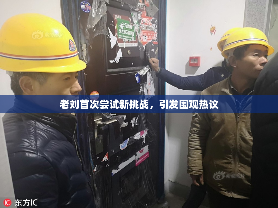 老刘首次尝试新挑战，引发围观热议