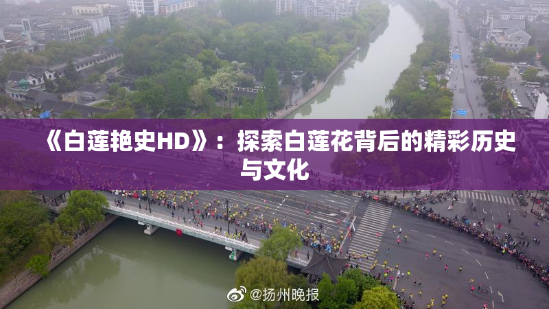 《白莲艳史HD》：探索白莲花背后的精彩历史与文化