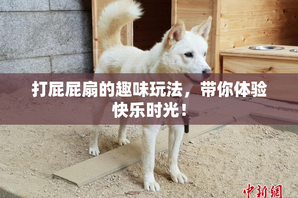打屁屁扇的趣味玩法，带你体验快乐时光！