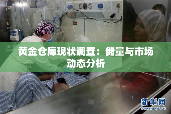 黄金仓库现状调查：储量与市场动态分析