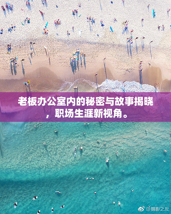 老板办公室内的秘密与故事揭晓，职场生涯新视角。