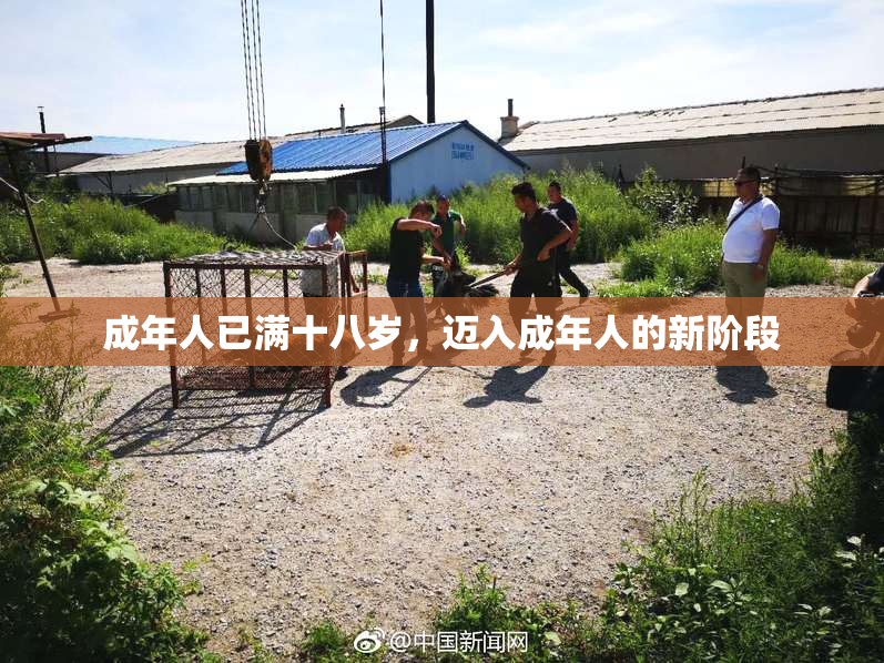 成年人已满十八岁，迈入成年人的新阶段
