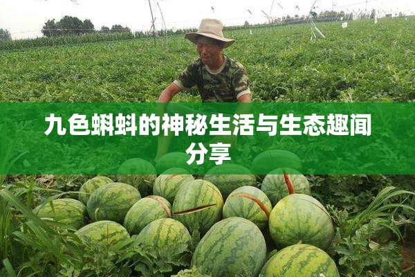 九色蝌蚪的神秘生活与生态趣闻分享