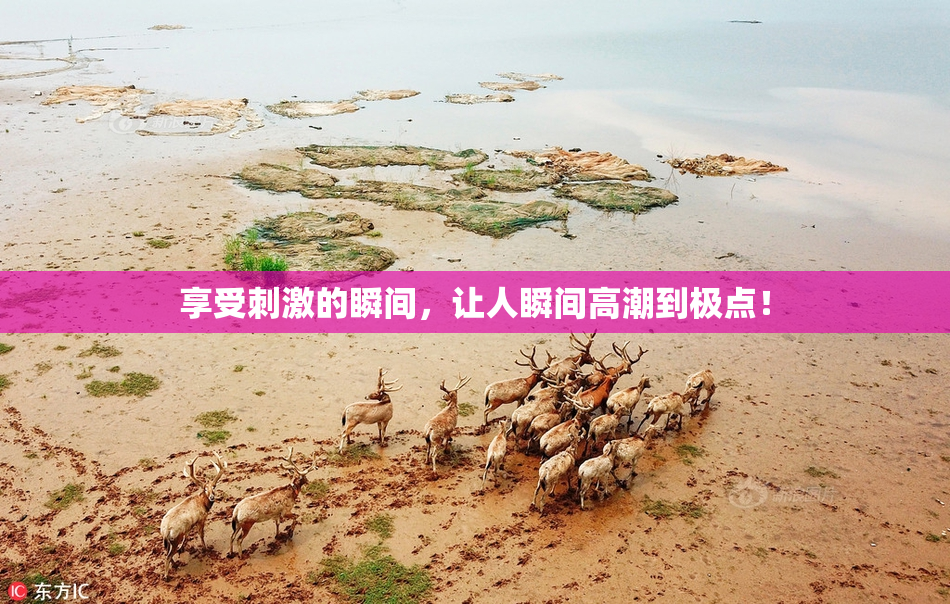 享受刺激的瞬间，让人瞬间高潮到极点！