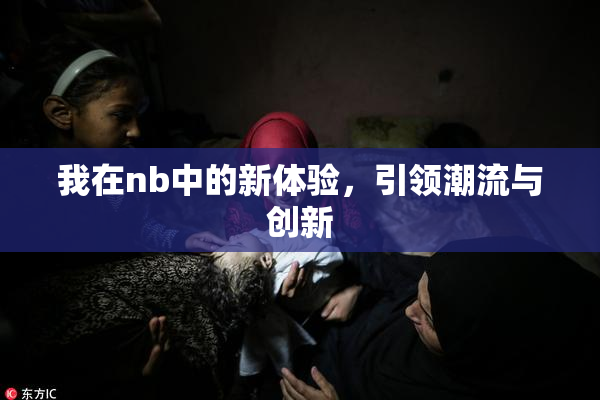 我在nb中的新体验，引领潮流与创新