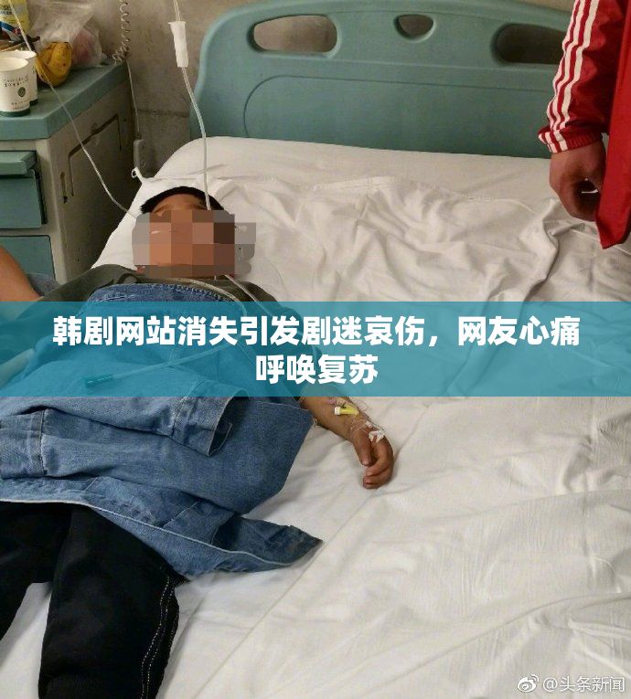 韩剧网站消失引发剧迷哀伤，网友心痛呼唤复苏