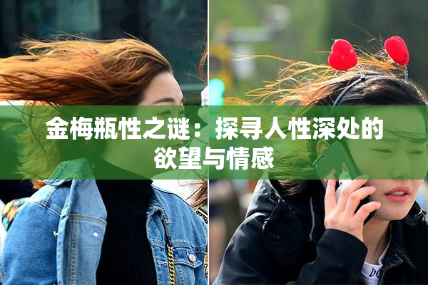 金梅瓶性之谜：探寻人性深处的欲望与情感