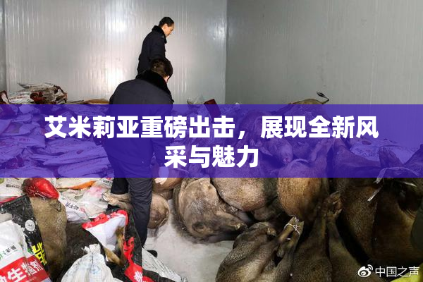 艾米莉亚重磅出击，展现全新风采与魅力