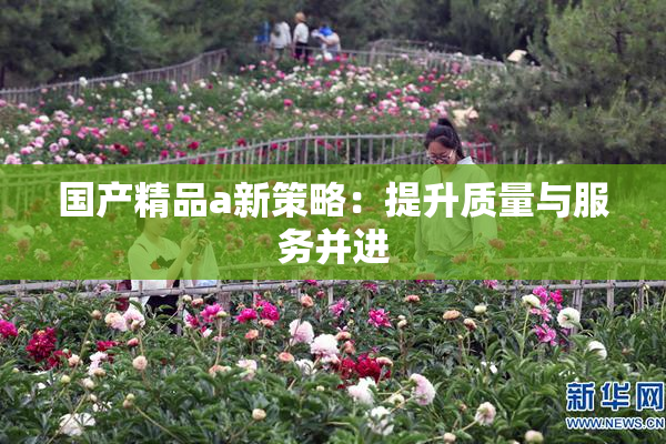 国产精品a新策略：提升质量与服务并进