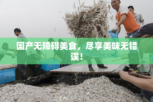 国产无障碍美食，尽享美味无错误！