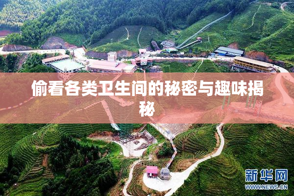 偷看各类卫生间的秘密与趣味揭秘