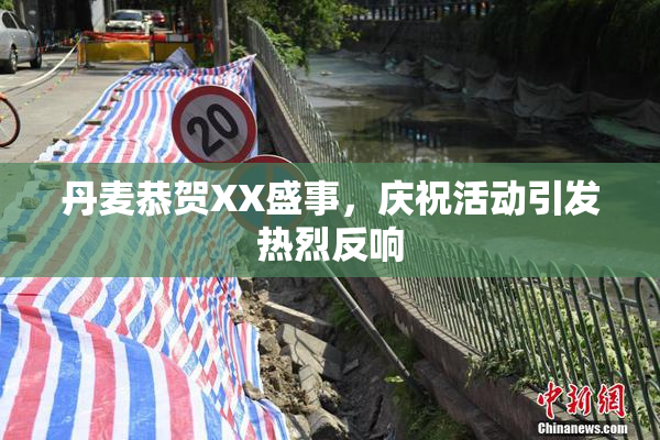 丹麦恭贺XX盛事，庆祝活动引发热烈反响