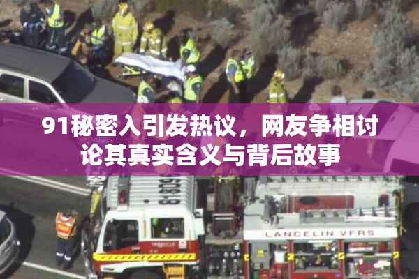 91秘密入引发热议，网友争相讨论其真实含义与背后故事