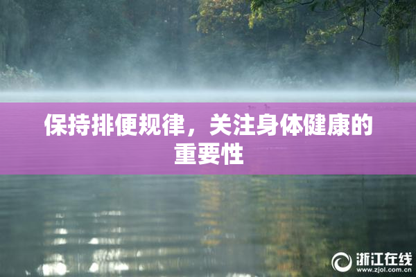 保持排便规律，关注身体健康的重要性