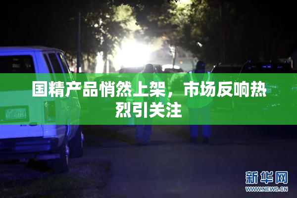 国精产品悄然上架，市场反响热烈引关注