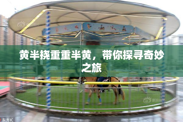 黄半挠重重半黄，带你探寻奇妙之旅