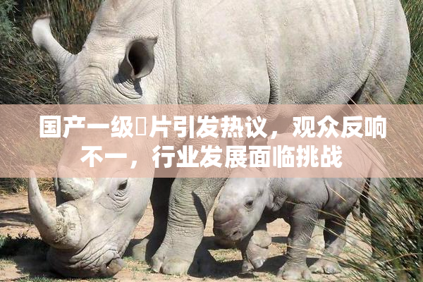 国产一级婬片引发热议，观众反响不一，行业发展面临挑战