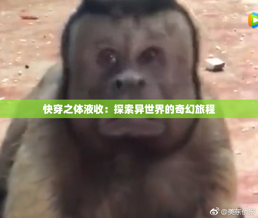 快穿之体液收：探索异世界的奇幻旅程