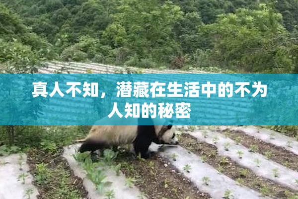 真人不知，潜藏在生活中的不为人知的秘密