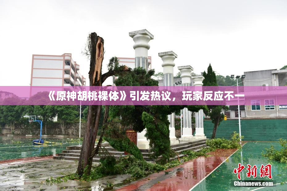 《原神胡桃裸体》引发热议，玩家反应不一