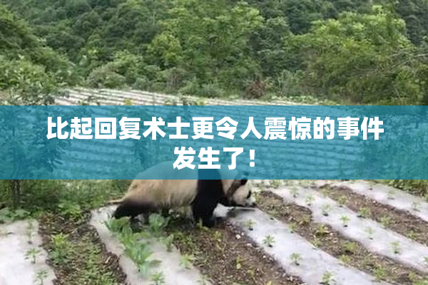比起回复术士更令人震惊的事件发生了！