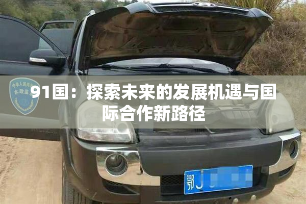 91国：探索未来的发展机遇与国际合作新路径