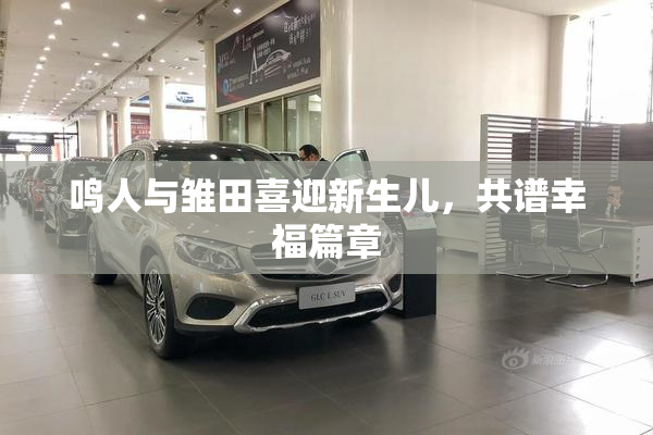鸣人与雏田喜迎新生儿，共谱幸福篇章