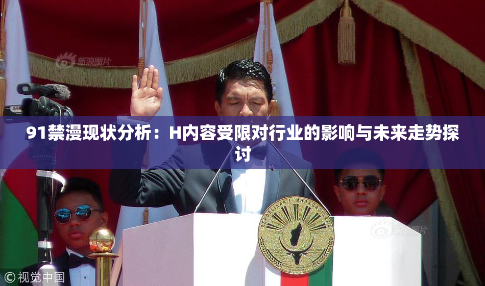 91禁漫现状分析：H内容受限对行业的影响与未来走势探讨