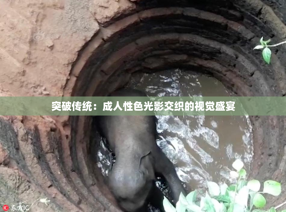 突破传统：成人性色光影交织的视觉盛宴