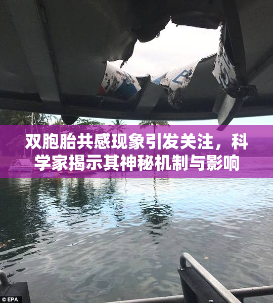 双胞胎共感现象引发关注，科学家揭示其神秘机制与影响