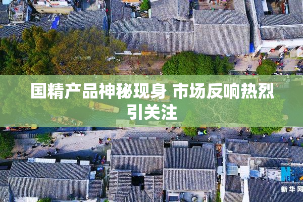 国精产品神秘现身 市场反响热烈引关注
