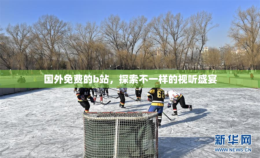 国外免费的b站，探索不一样的视听盛宴