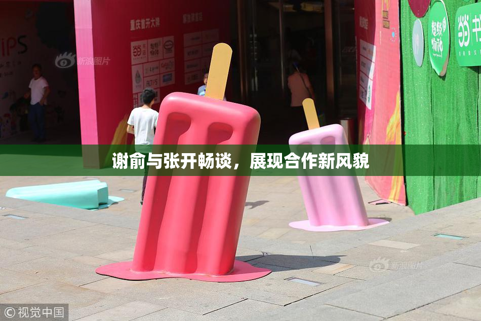 谢俞与张开畅谈，展现合作新风貌