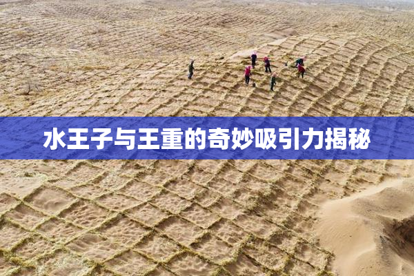 水王子与王重的奇妙吸引力揭秘