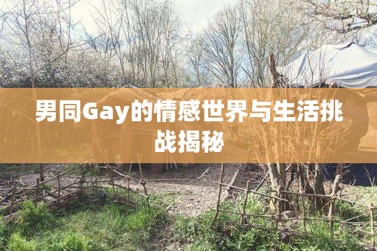 男同Gay的情感世界与生活挑战揭秘