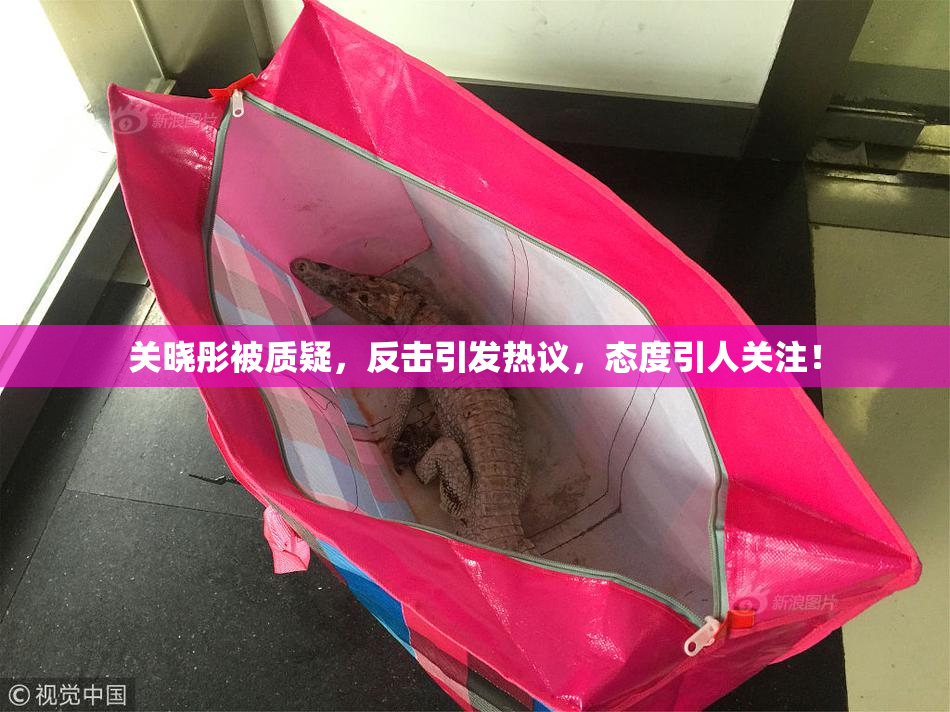 关晓彤被质疑，反击引发热议，态度引人关注！