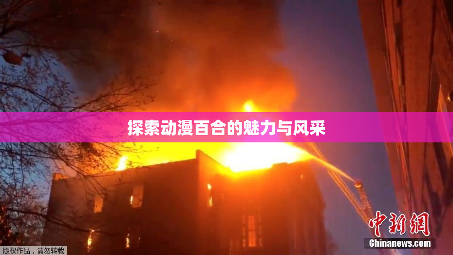 探索动漫百合的魅力与风采