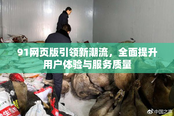 91网页版引领新潮流，全面提升用户体验与服务质量