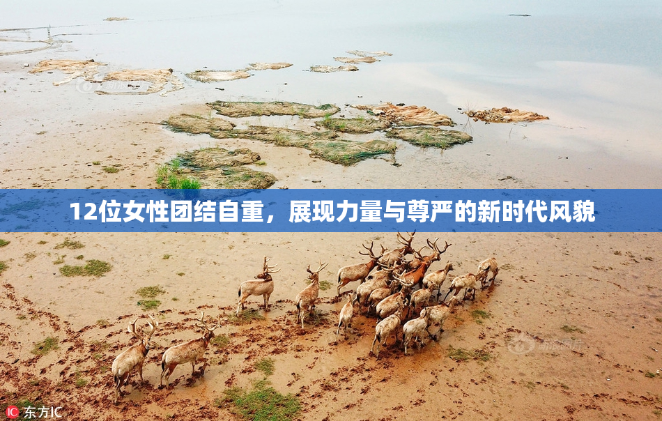 12位女性团结自重，展现力量与尊严的新时代风貌