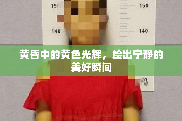 黄昏中的黄色光辉，绘出宁静的美好瞬间