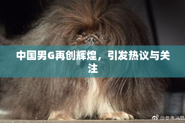 中国男G再创辉煌，引发热议与关注