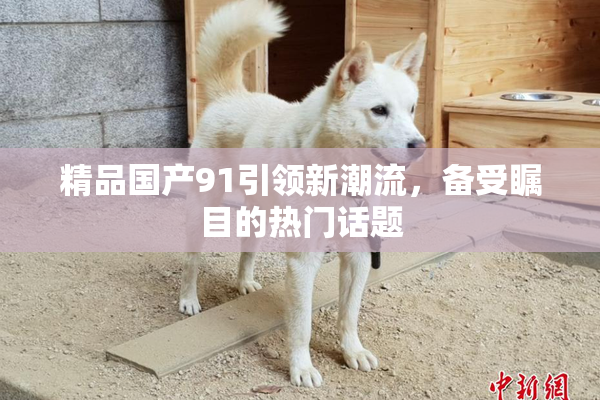 精品国产91引领新潮流，备受瞩目的热门话题