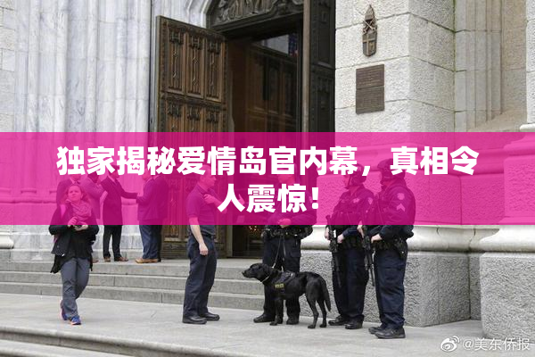 独家揭秘爱情岛官内幕，真相令人震惊！
