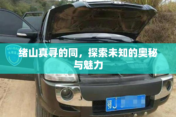 绪山真寻的同，探索未知的奥秘与魅力