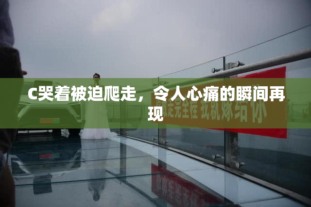 C哭着被迫爬走，令人心痛的瞬间再现