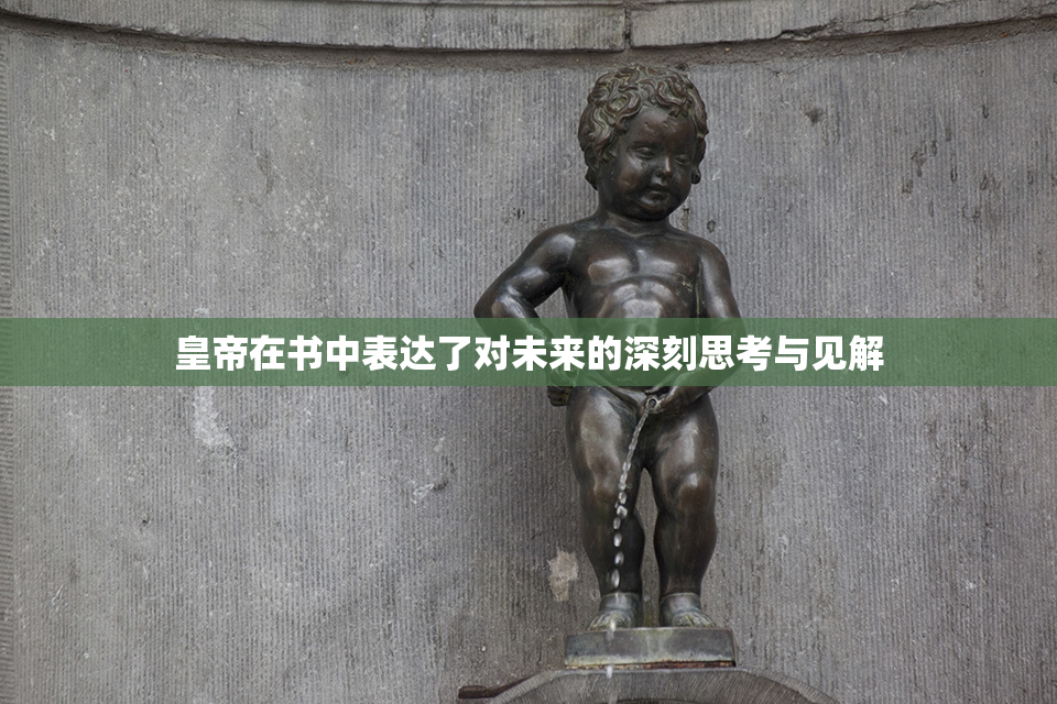 皇帝在书中表达了对未来的深刻思考与见解